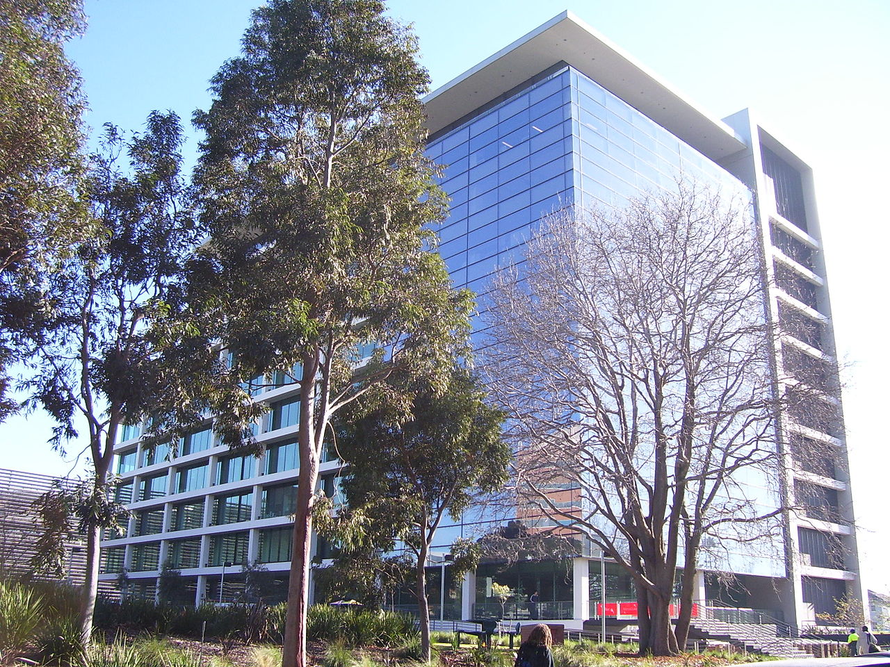 Caulfield