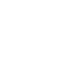 DV_Icon__0001_Efficient