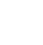 DV_Icon__0002_Window-Cleaning